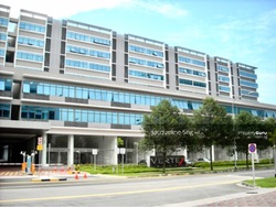Vertex (D14), Factory #211654531
